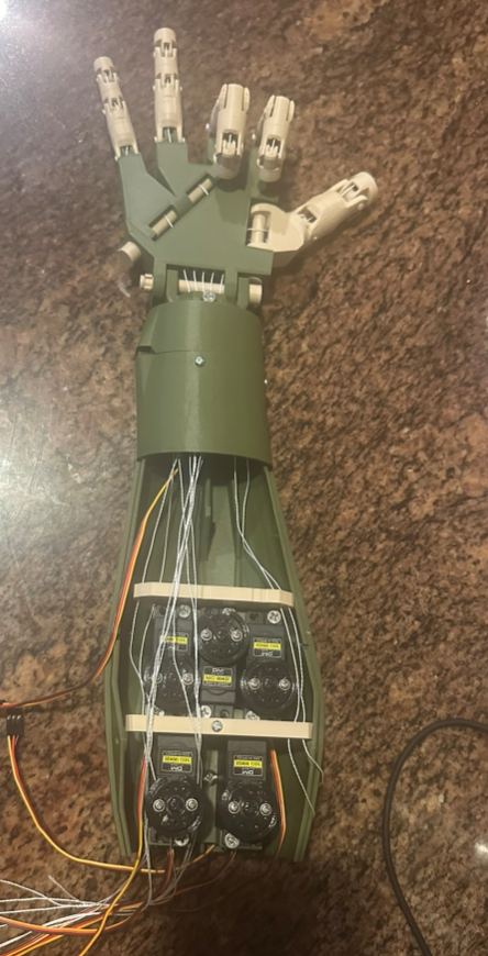 Fully assembled articulated robotic hand with mechanical linkages and servo mounting